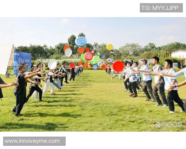 飞盘运动热潮下的杭州飞盘队意识探讨与发展前景分析MBA 飞盘运动热潮下的杭州飞盘队意识探讨与发展前景分析MBA