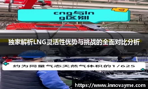 独家解析LNG灵活性优势与挑战的全面对比分析
